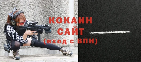дживик Балахна
